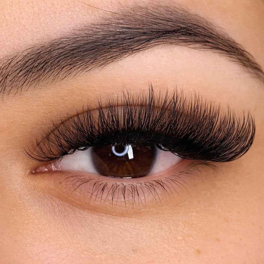 Volume Lash Extension